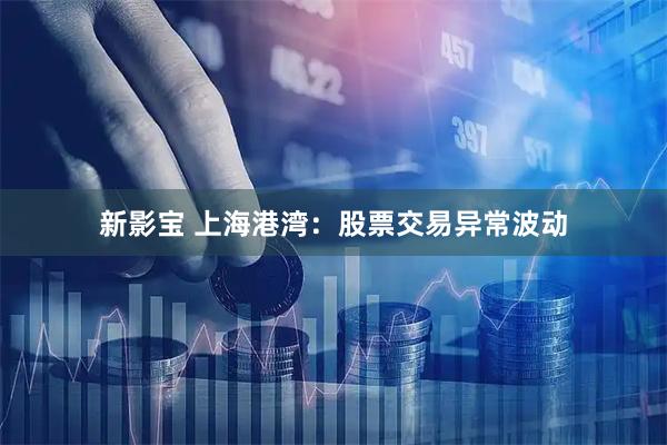 新影宝 上海港湾：股票交易异常波动